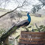 Aldeia Da Mata Pequena Mafra