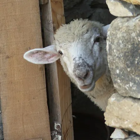 Aldeia Da Mata Pequena Πάρκο διακοπών
