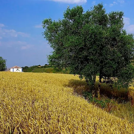Aldeia Da Mata Pequena