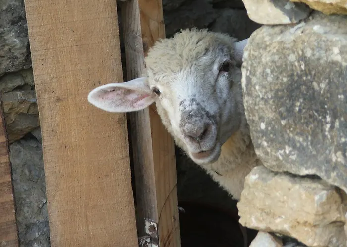 Aldeia Da Mata Pequena Kompleks wypoczynkowy