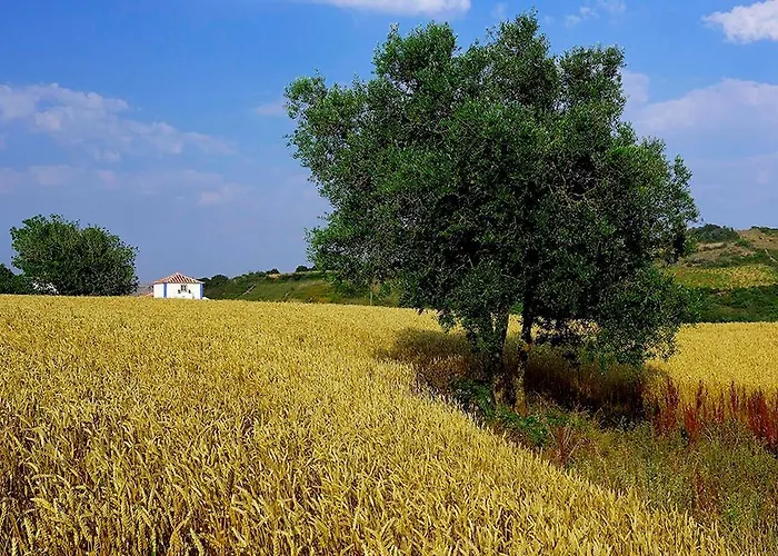 Aldeia Da Mata Pequena