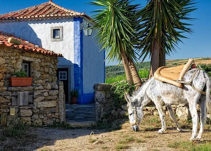 Aldeia Da Mata Pequena